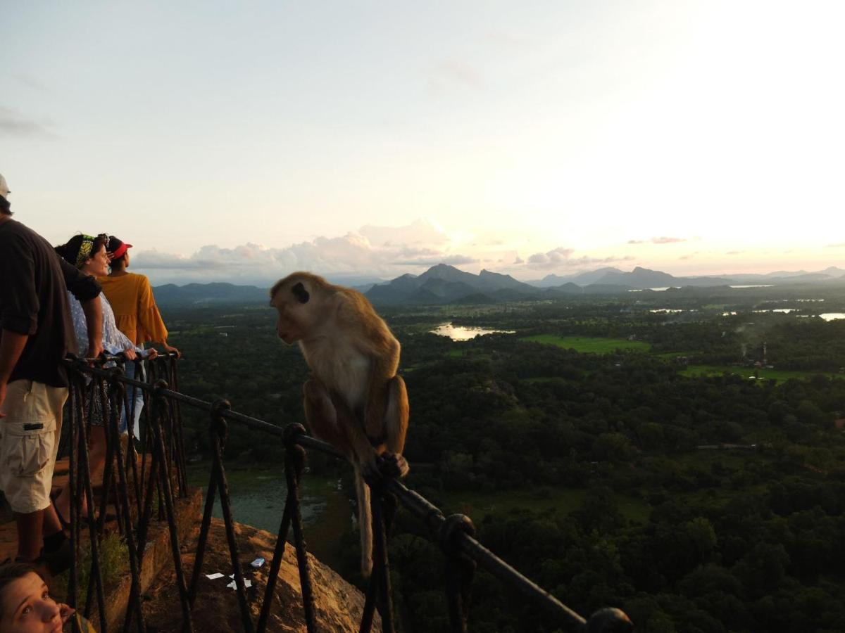 One More Night Hostel Sigiriya Exteriér fotografie