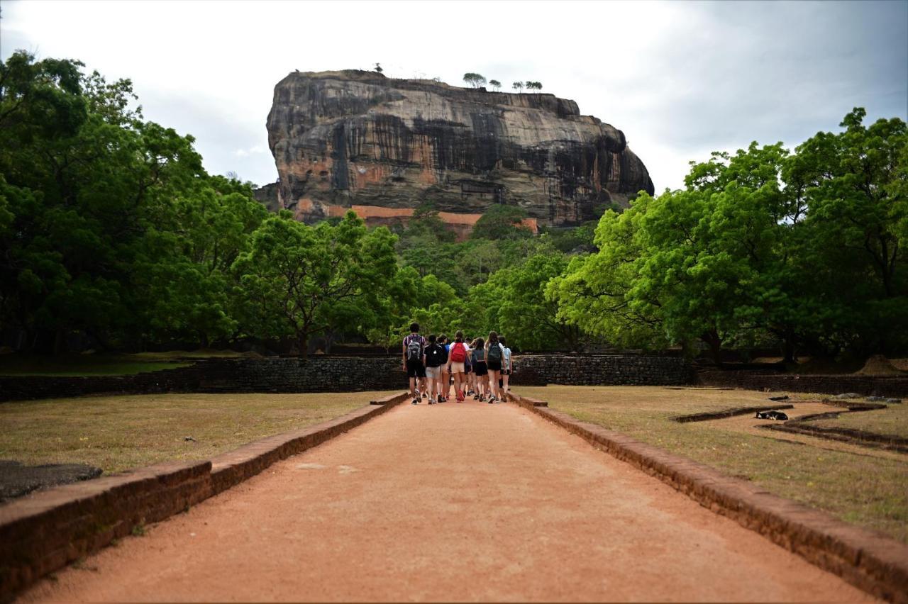 One More Night Hostel Sigiriya Exteriér fotografie