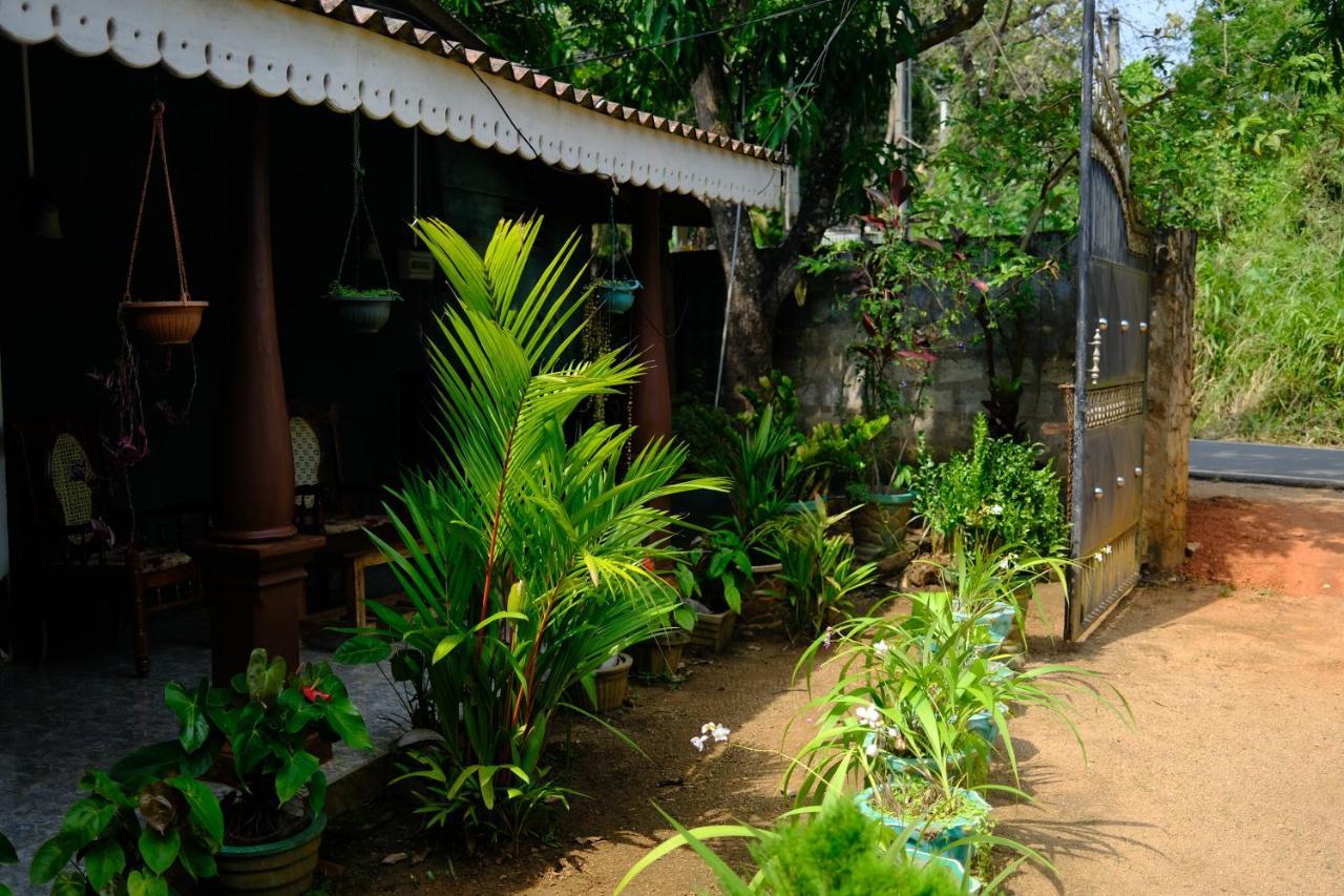 One More Night Hostel Sigiriya Exteriér fotografie