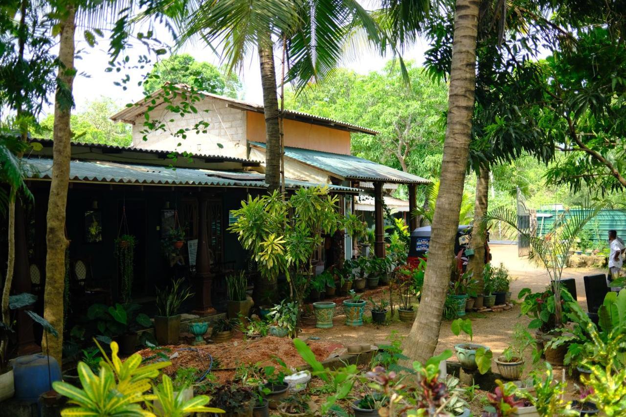 One More Night Hostel Sigiriya Exteriér fotografie