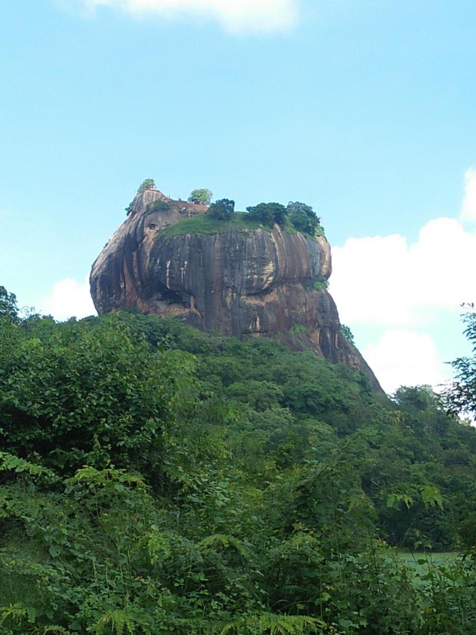 One More Night Hostel Sigiriya Exteriér fotografie